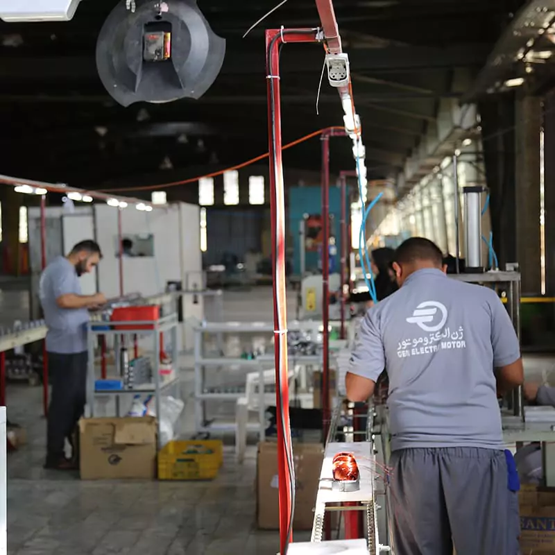 کارخانه ژن الکتروموتور
